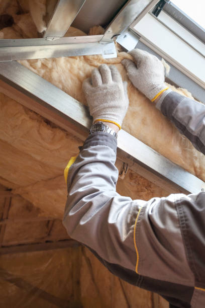 Best Residential Insulation in Joshua, TX