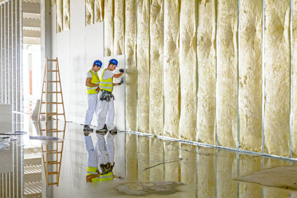 Best Energy Efficiency Solutions in Joshua, TX